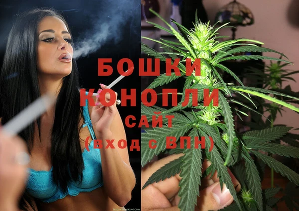 Альфа ПВП Горнозаводск