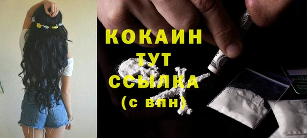 Альфа ПВП Горнозаводск