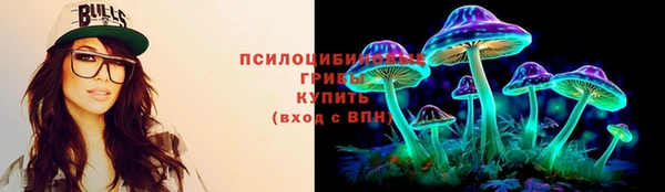 соль ск Горняк