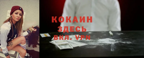 соль ск Горняк